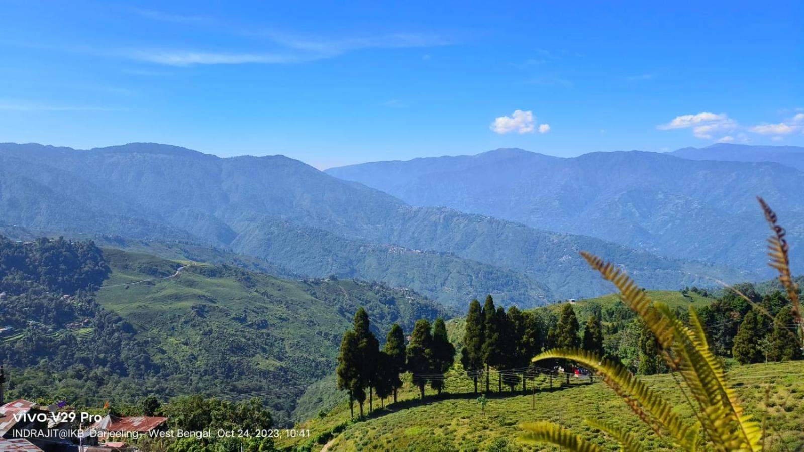 Valley View Homestay Darjeeling  Bagian luar foto